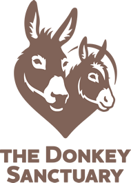The Donkey Sanctuary